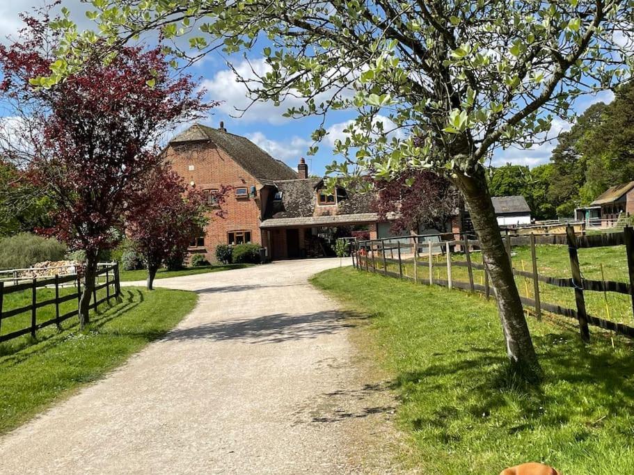 Self Catering Apartment, Jurassic Coast/Dorset Вэрхэм Экстерьер фото